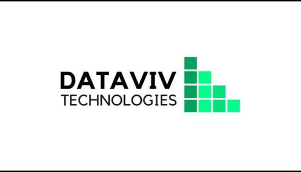 Dataviv Technology logo